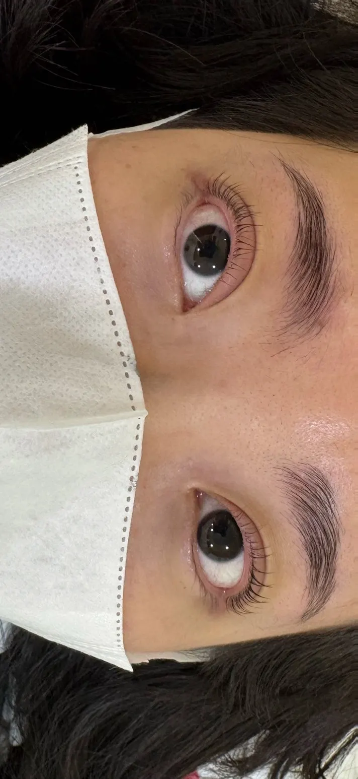 Natural lash lift and neatly shaped brow perm result