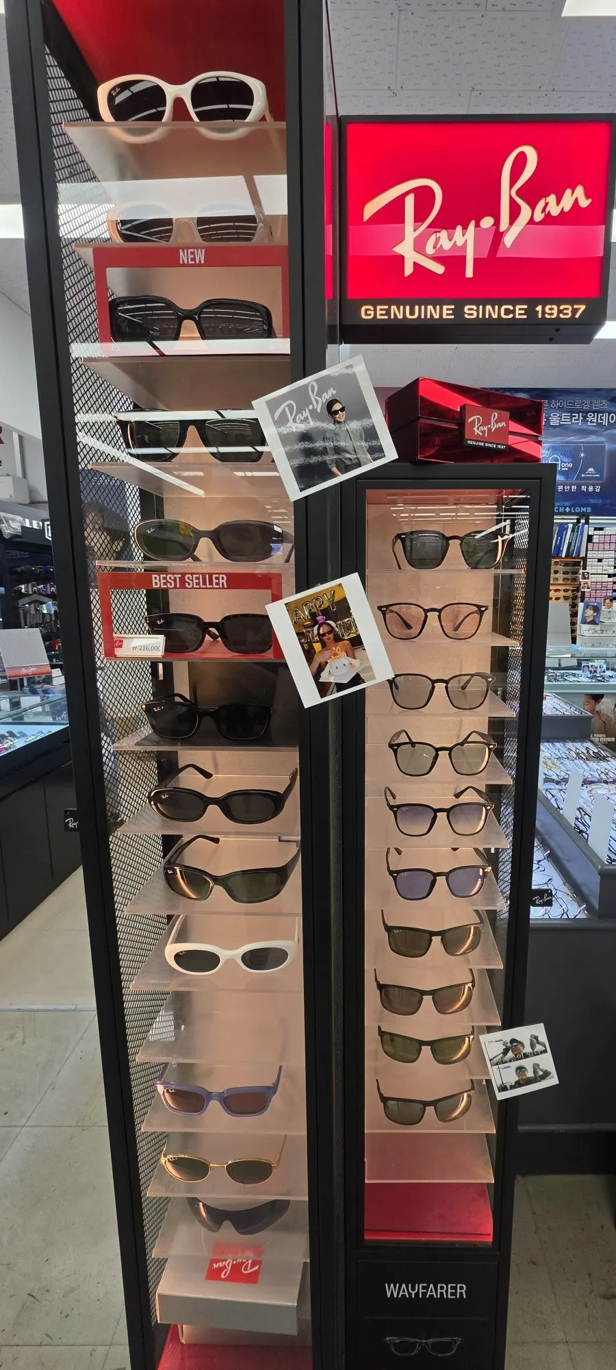 Wall display filled with sunglasses from various brands