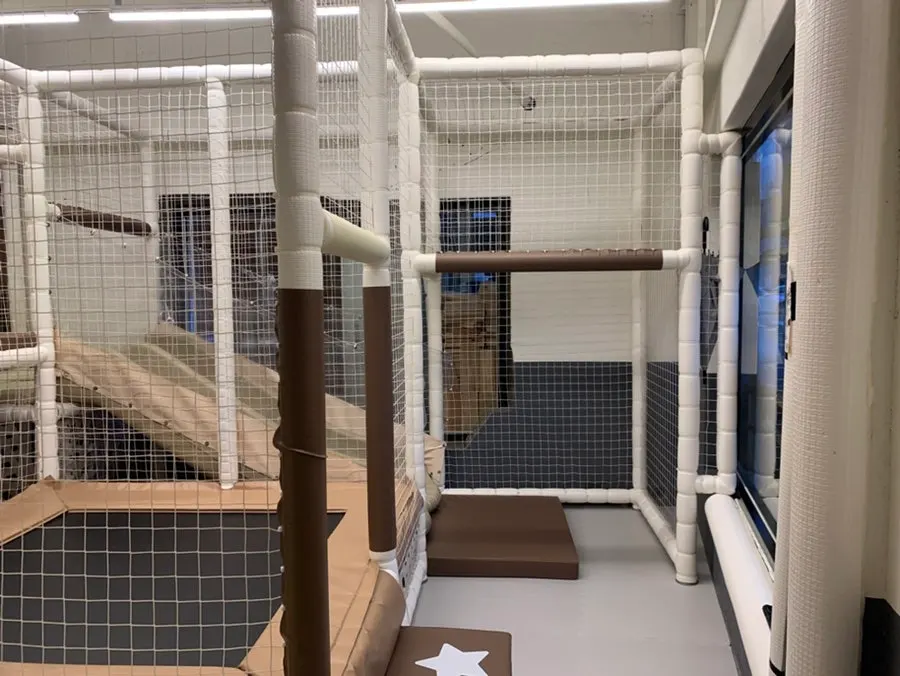 Playroom space for family dining