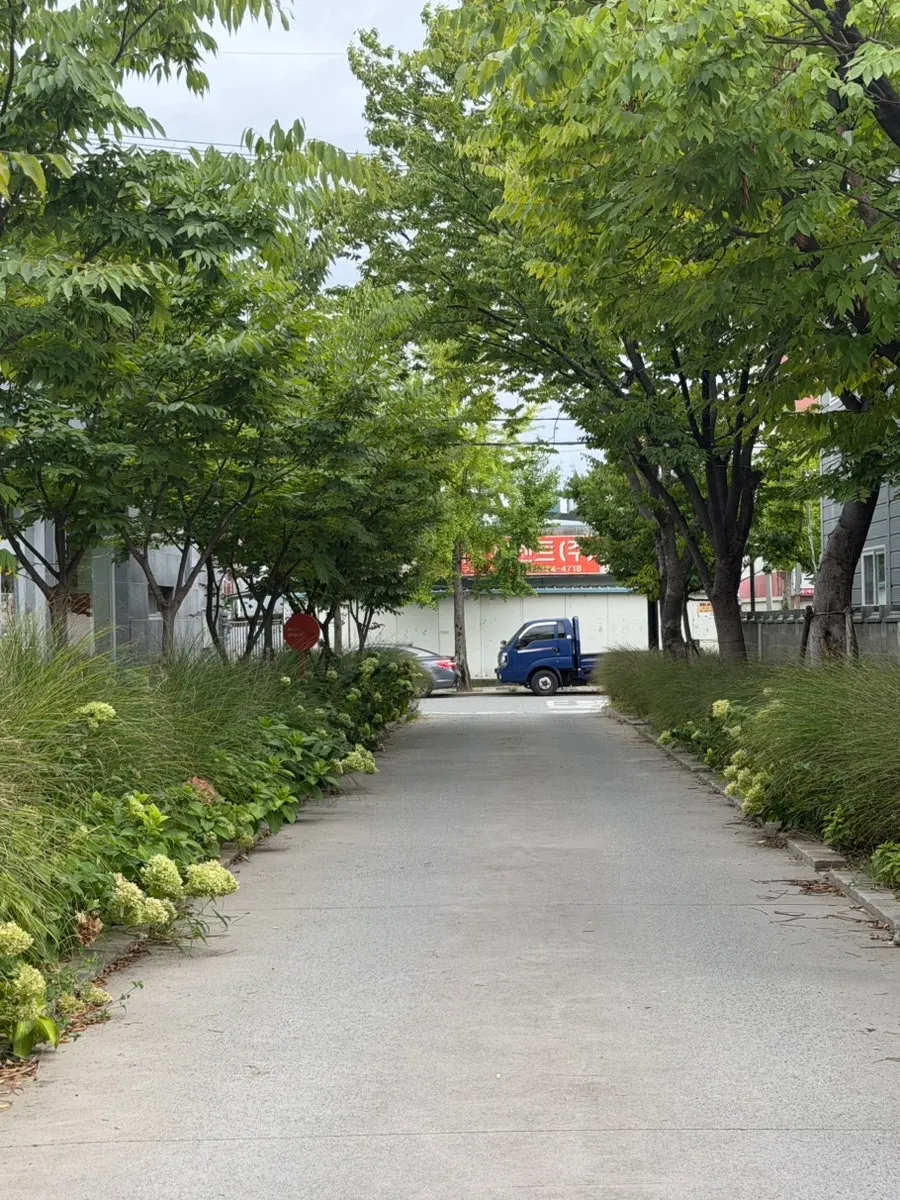 슬로우벗베럴 대구점 방문 시작 사진