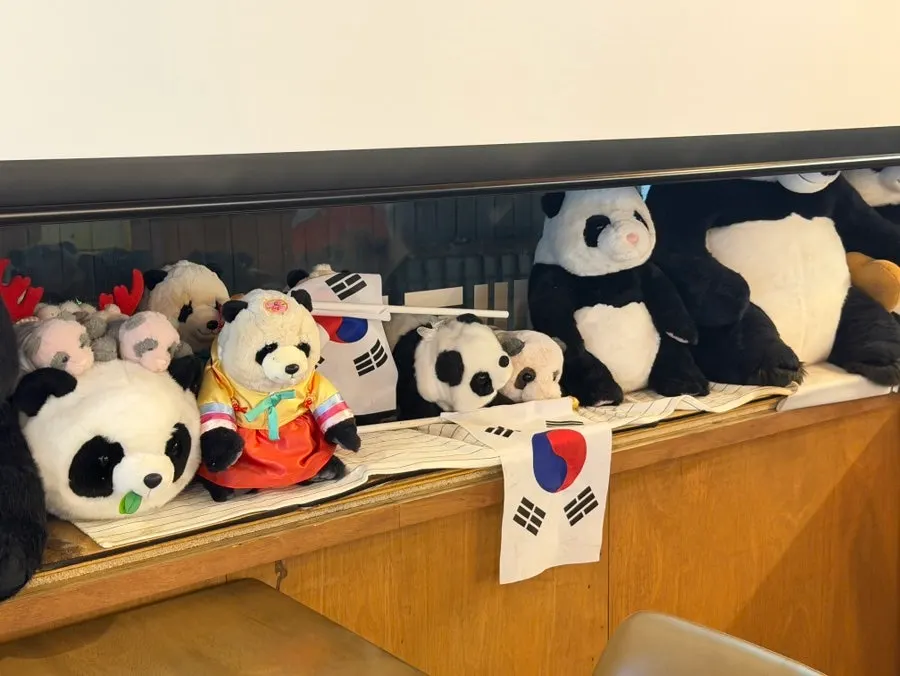 Interior decorated with pandas and the Korean flag