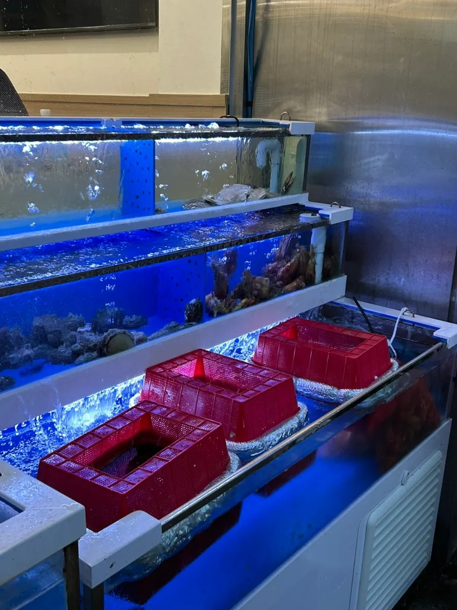 제철 활새우 소금구이 메뉴