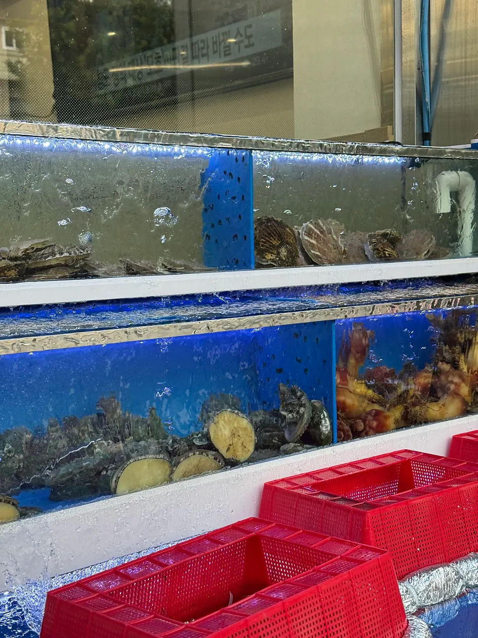 A close-up showing how clean the tanks are kept