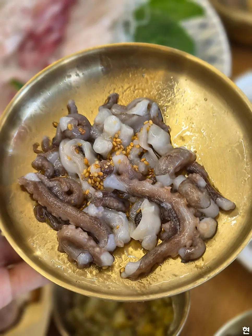전어구이와 산낙지 메뉴