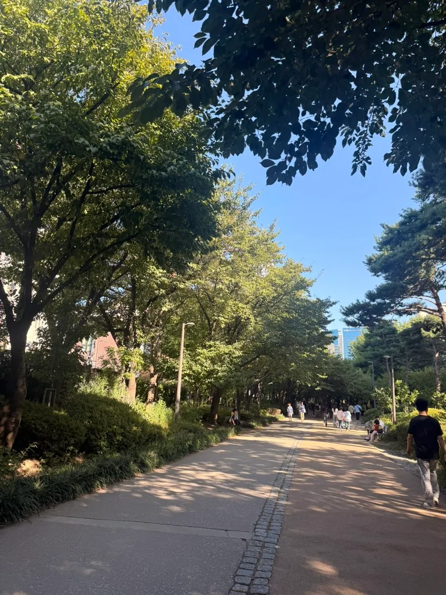 View of the forest path between Gongdeok and Daeheung stations