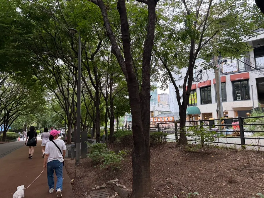 Exterior of Gongjung Dodeok toward the Daeheung Station side of the Gyeongui Line Forest