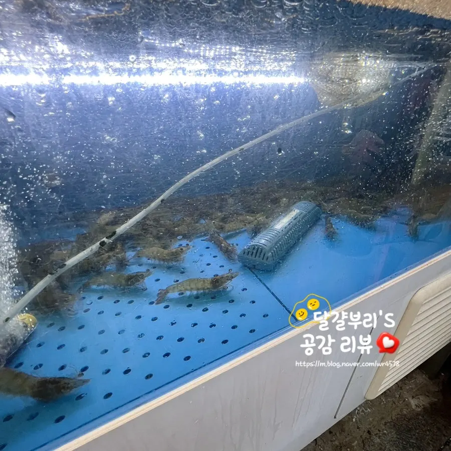 제철담은 마포바다 시그니처 한상 상차림