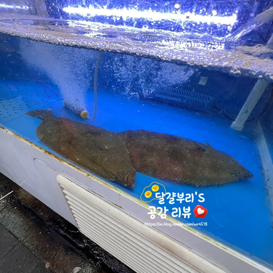 한상에 차려진 모듬회와 해산물 접시