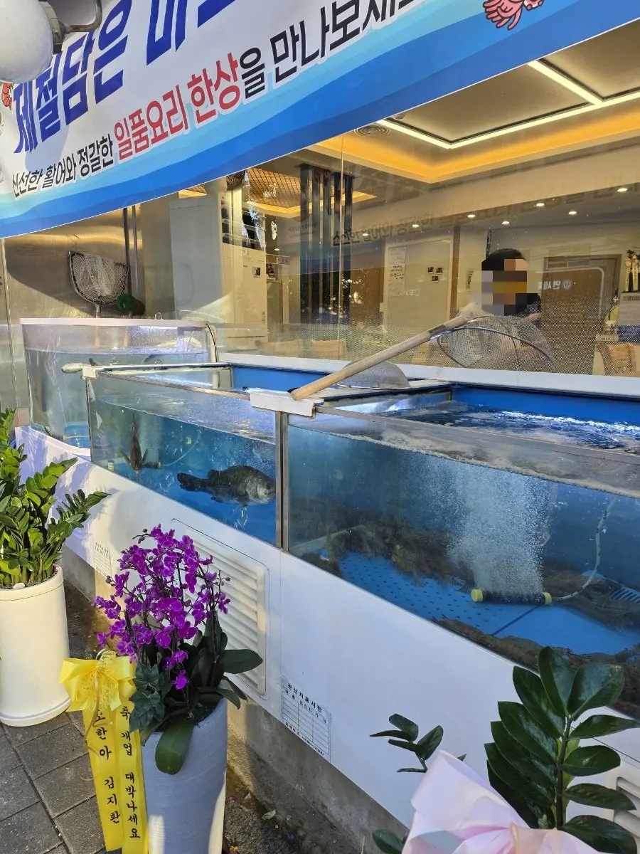 从入口处看到的深山鱼市(짙은산)第一印象