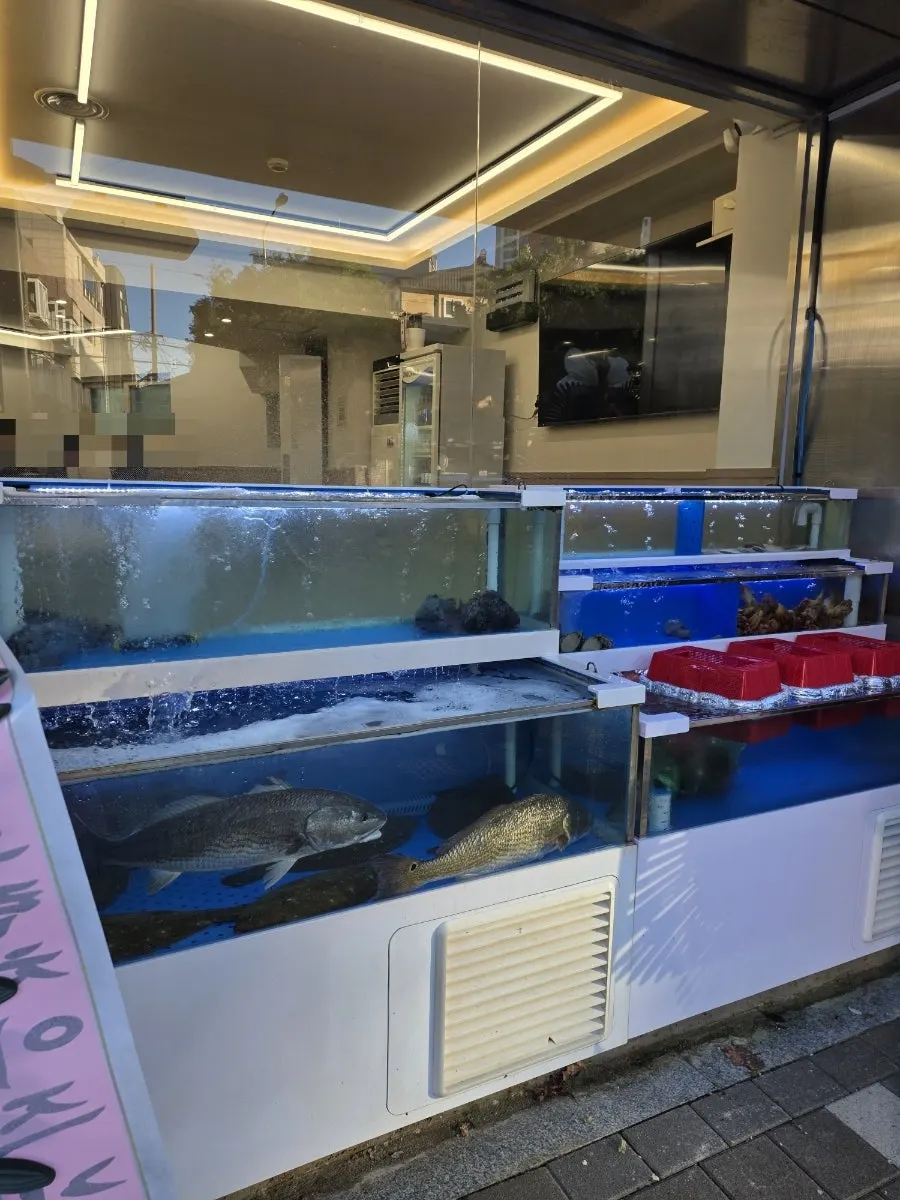 新开生鱼片店内清澈的鱼缸