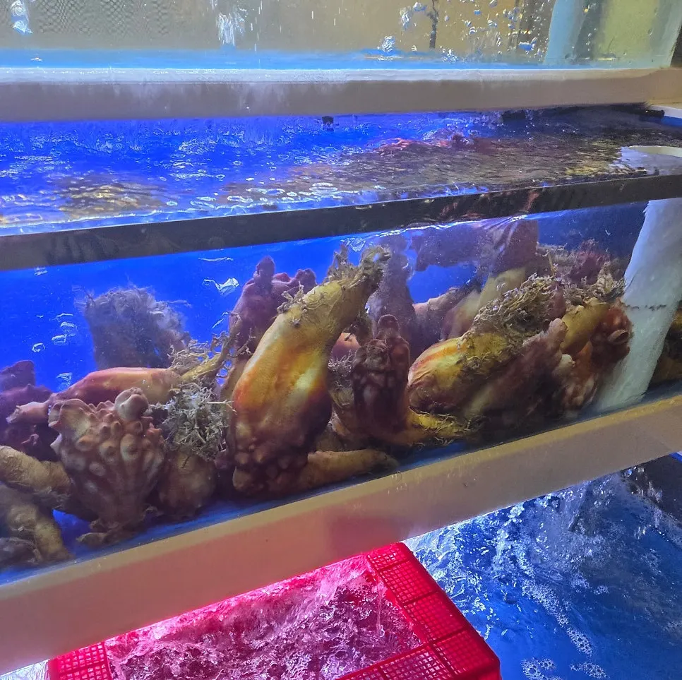 Inside Jaecheoldameun Mapo Bada