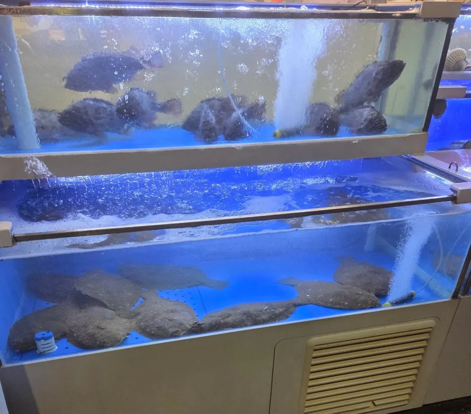 Restaurant aquarium with live fish