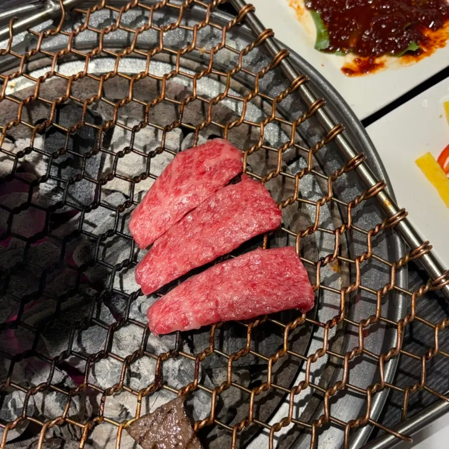 A plate of hanwoo assortment