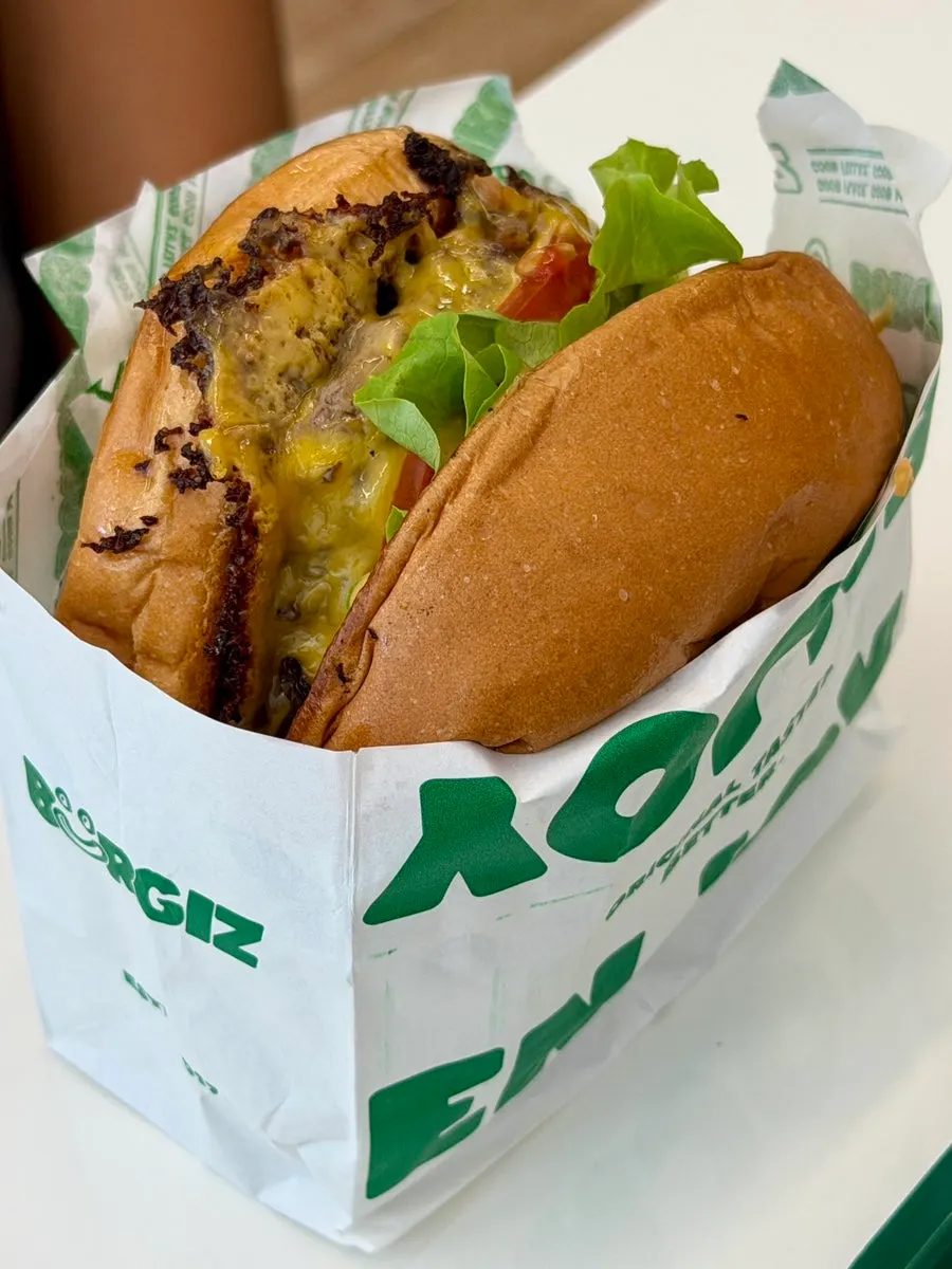 Crispy Chicken Burger