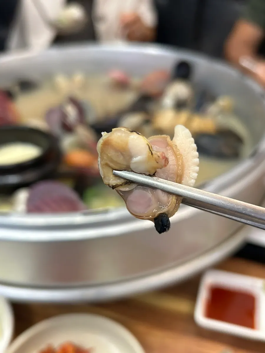 Generous visual of the hot pot with a variety of clams