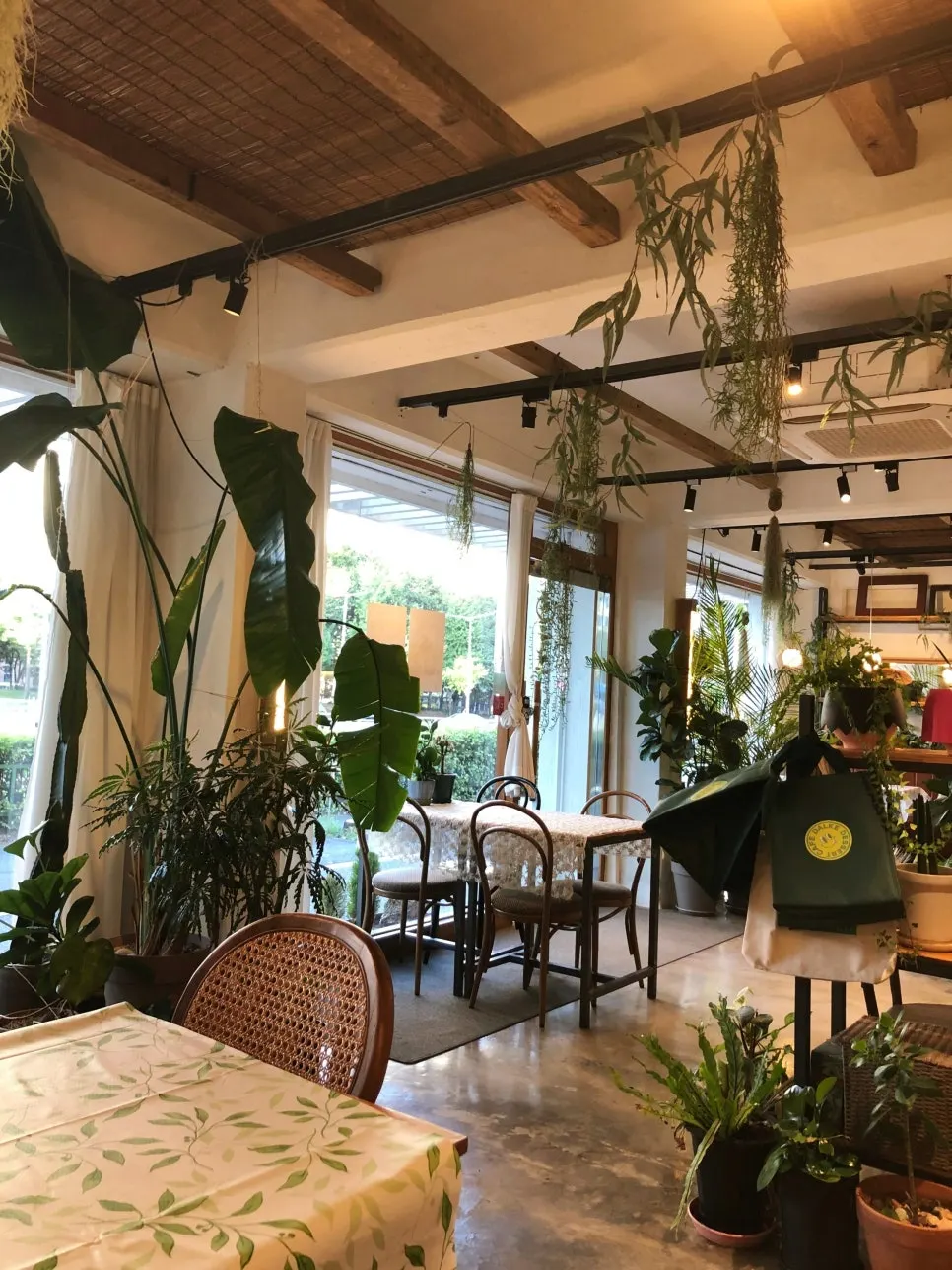 Café interior with green plants