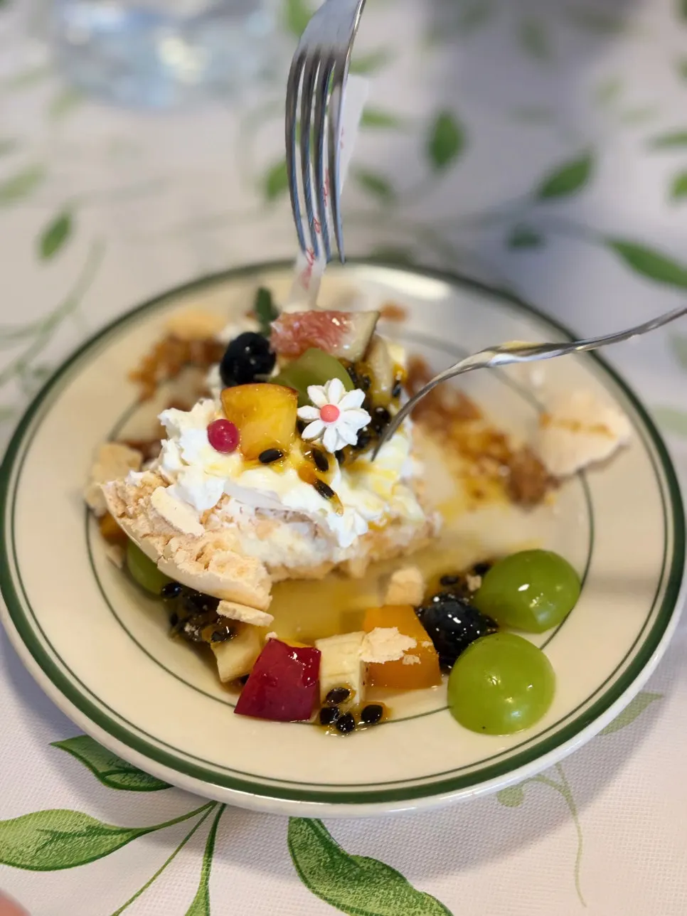 Meringue, cream, and fruit pavlova combination