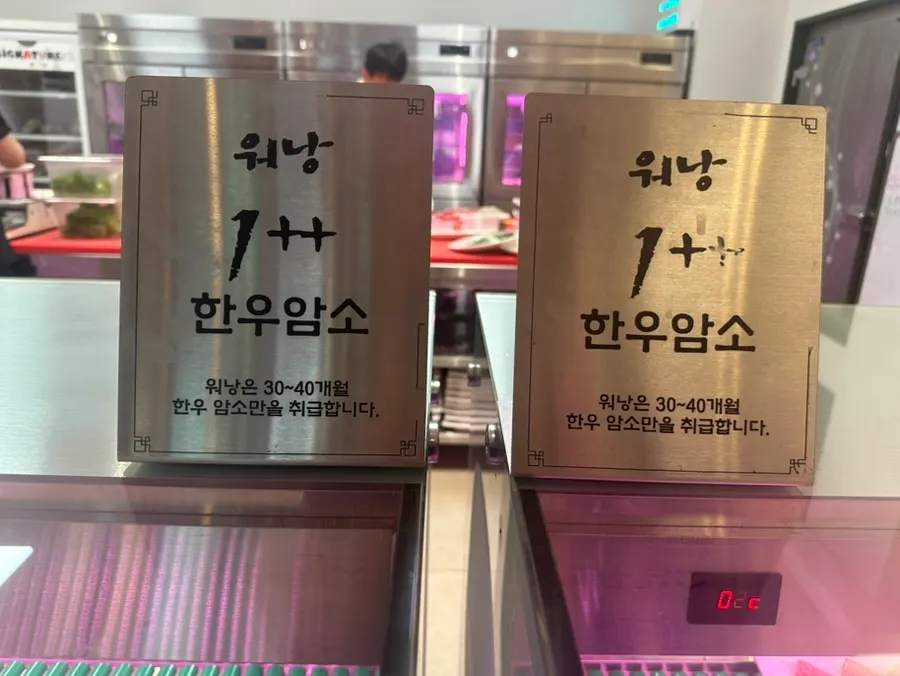 Hanwoo cuts displayed in the entrance showcase