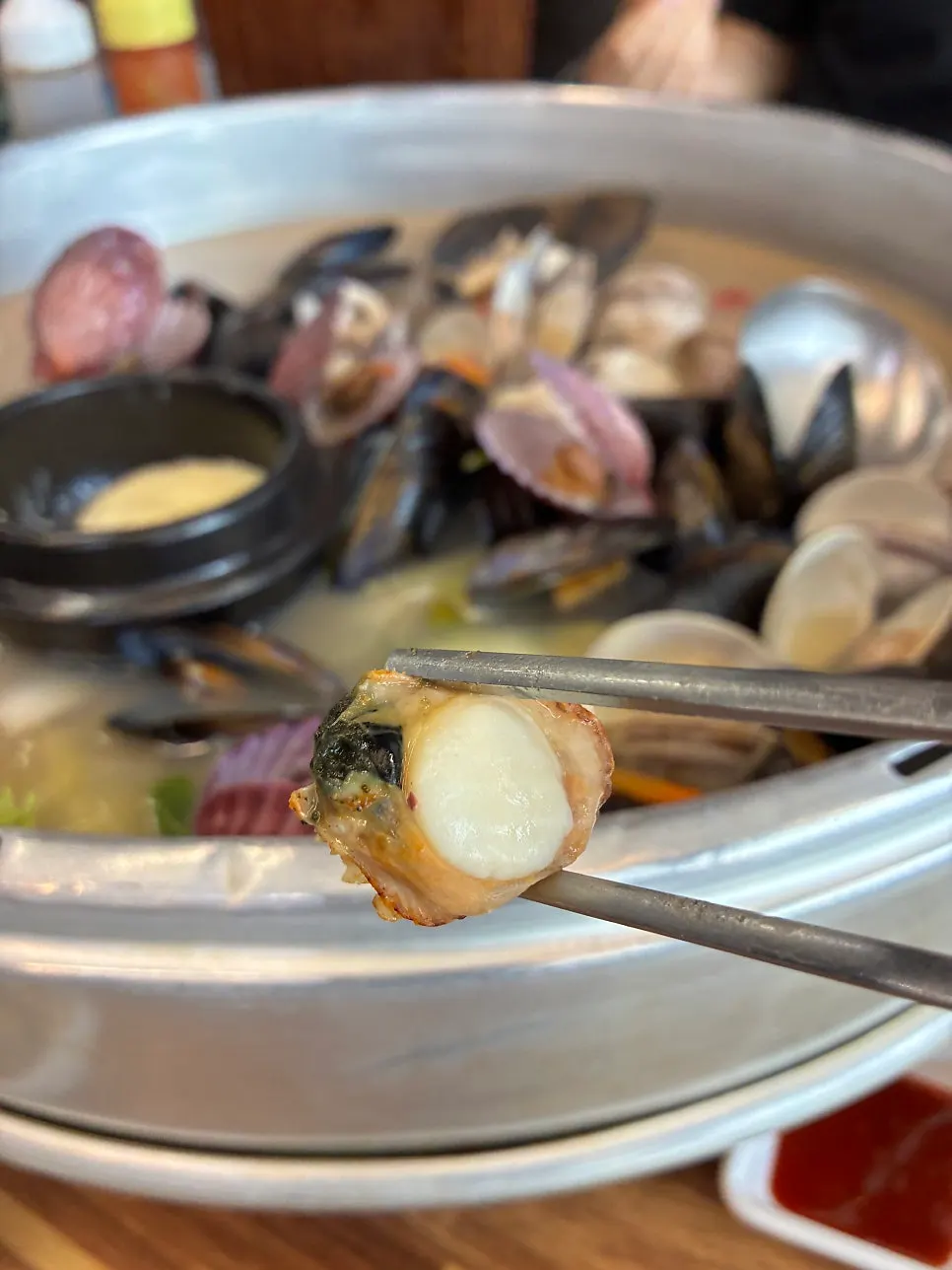 Plate of scallops, bay scallops, Manila clams, hard clams, and mussels