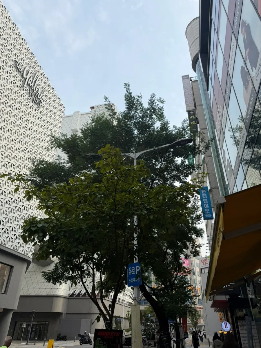 Street view on the way to Bantiannyao Kaoyu in Dunsan-dong