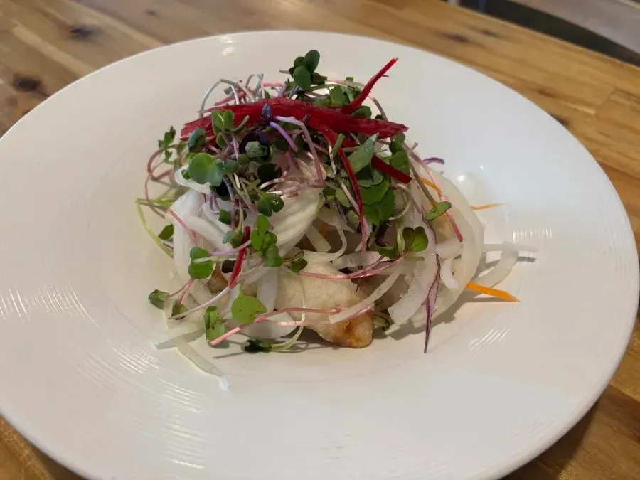 First course salad topped with sprouts