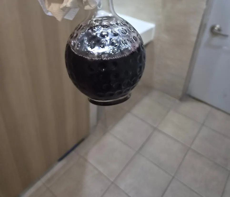 Leftover bokbunja wine