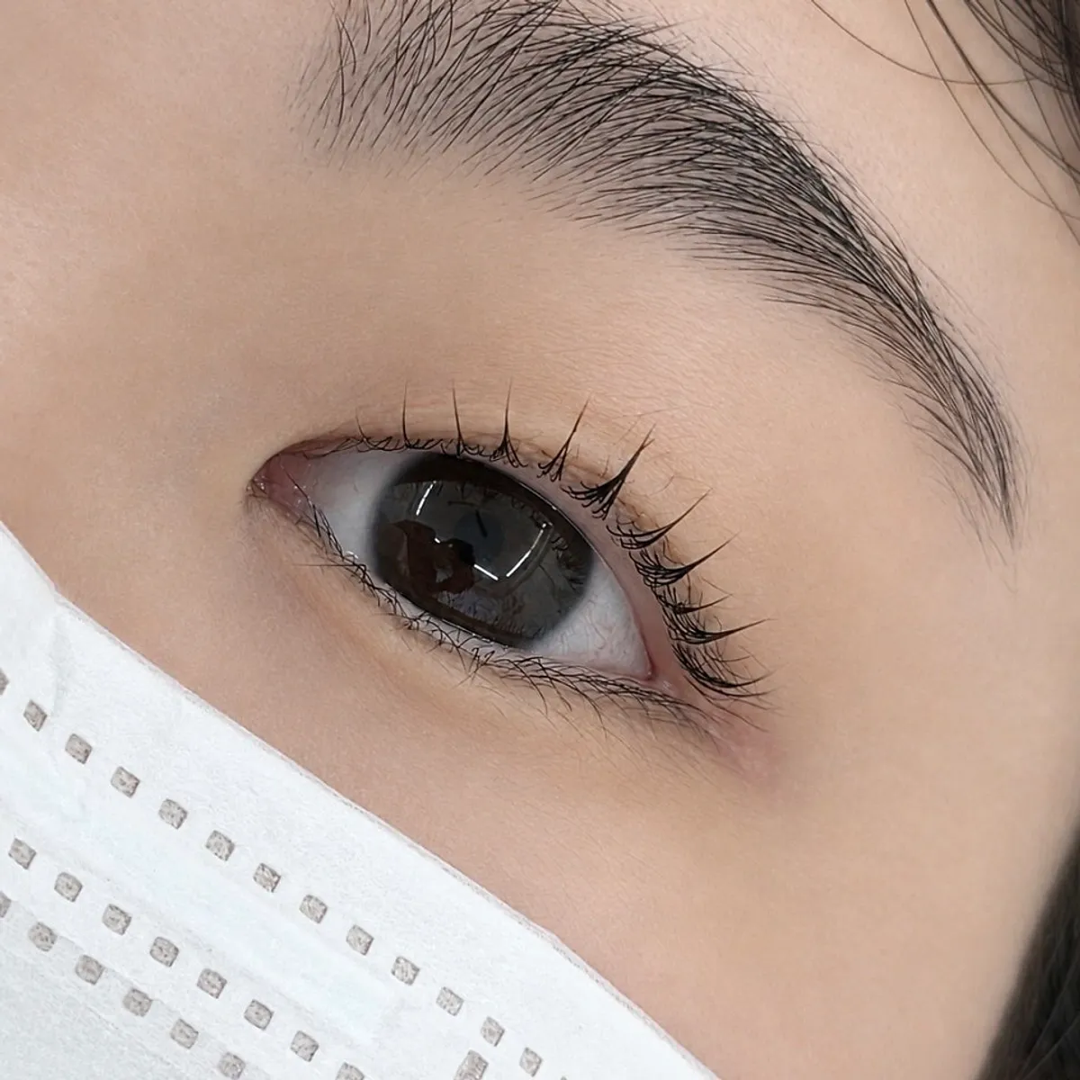 Close-up of the left eye after the lash lift