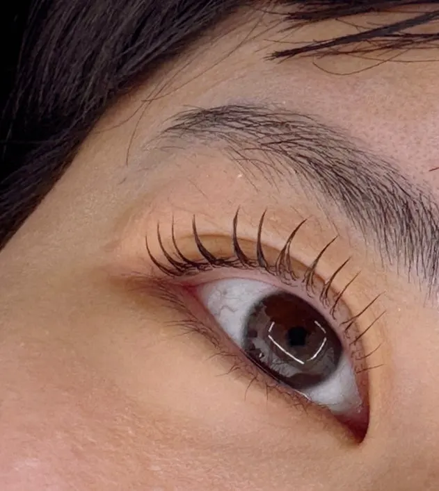 Close-up of U-curl lashes lifted one by one