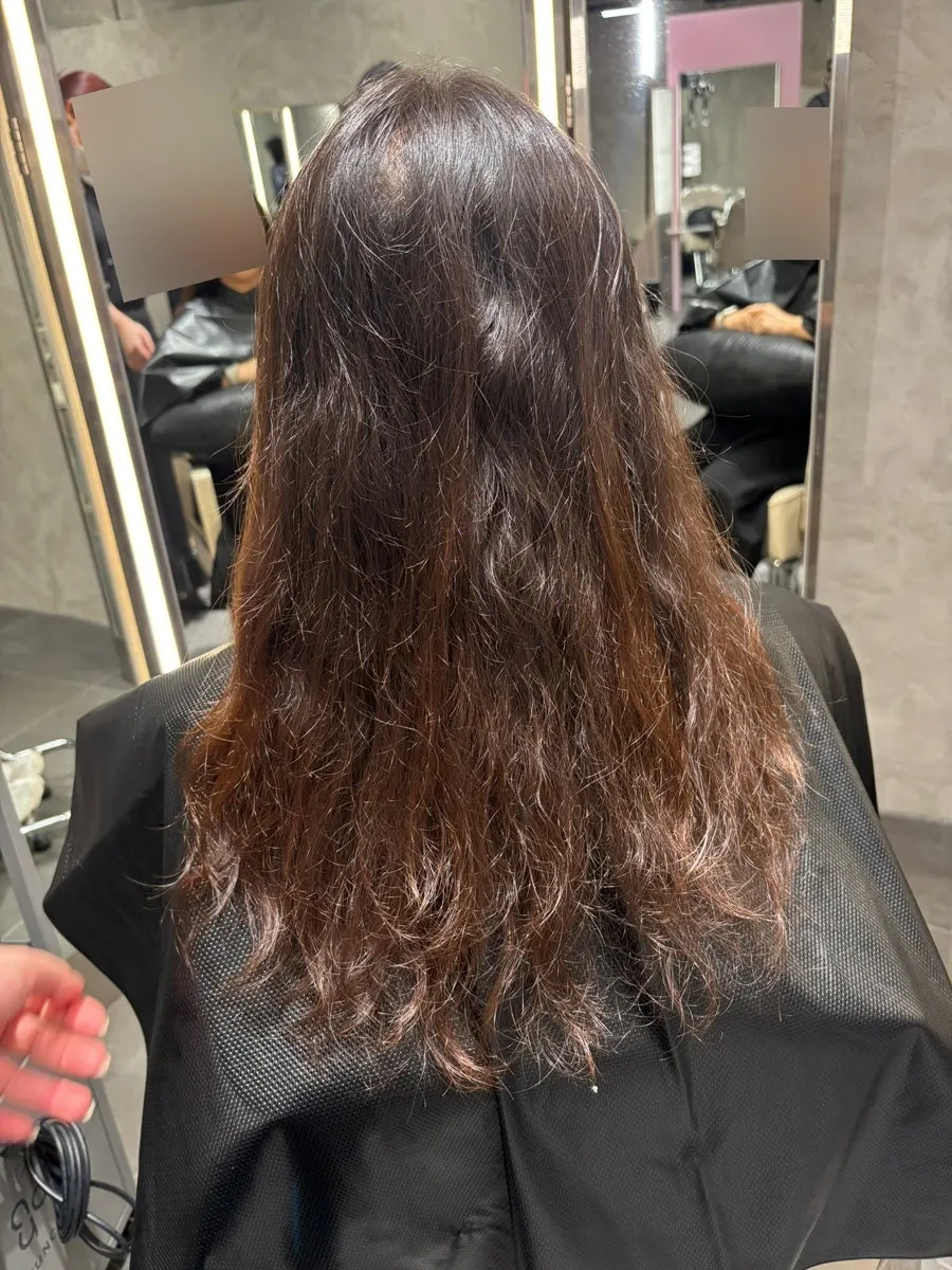 Chest-length damaged hair before the treatment