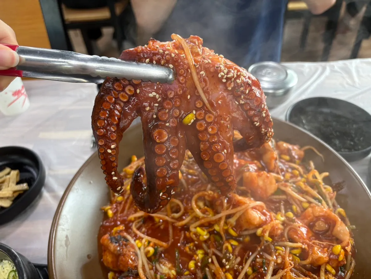 통문어가 올라간 섬마을 아구문어찜 중짜리