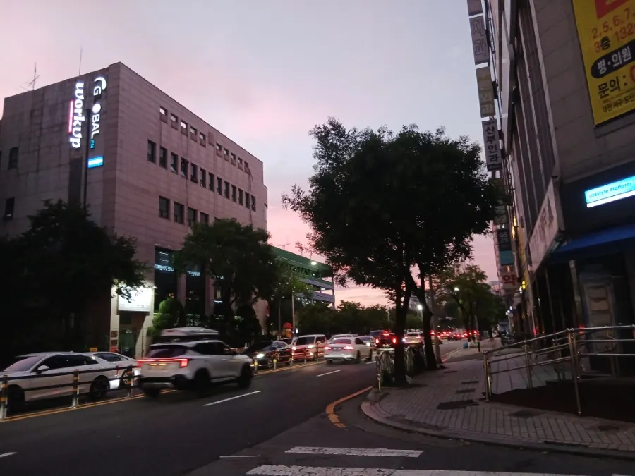 월평역 카페 안쪽 골목의 족보 가는 길