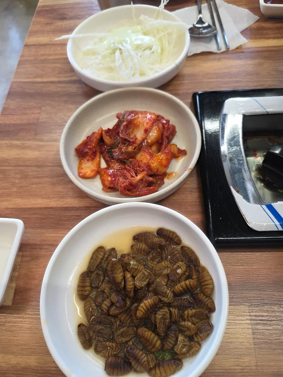 윤기 나는 신선한 조개