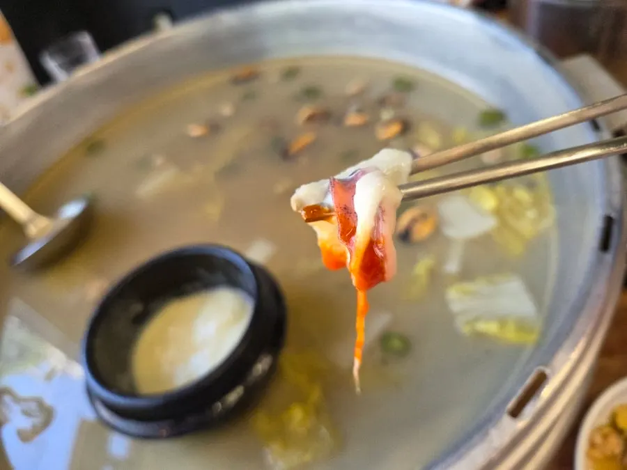 조개전골과 함께 나온 모짜렐라 치즈