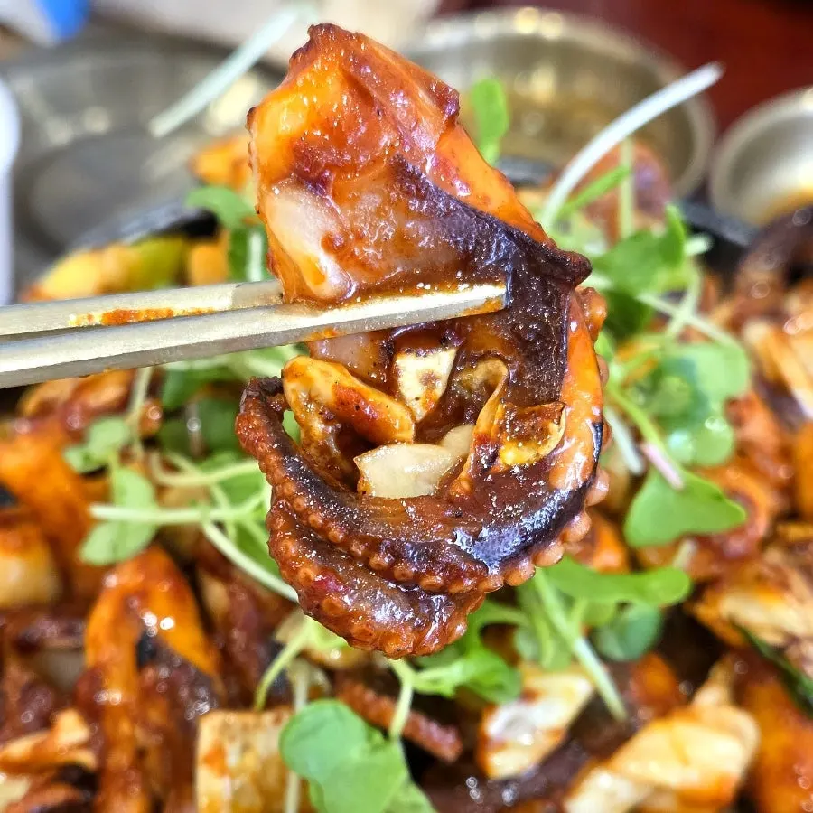 소스에 찍어 먹는 쭈꾸미 한 점