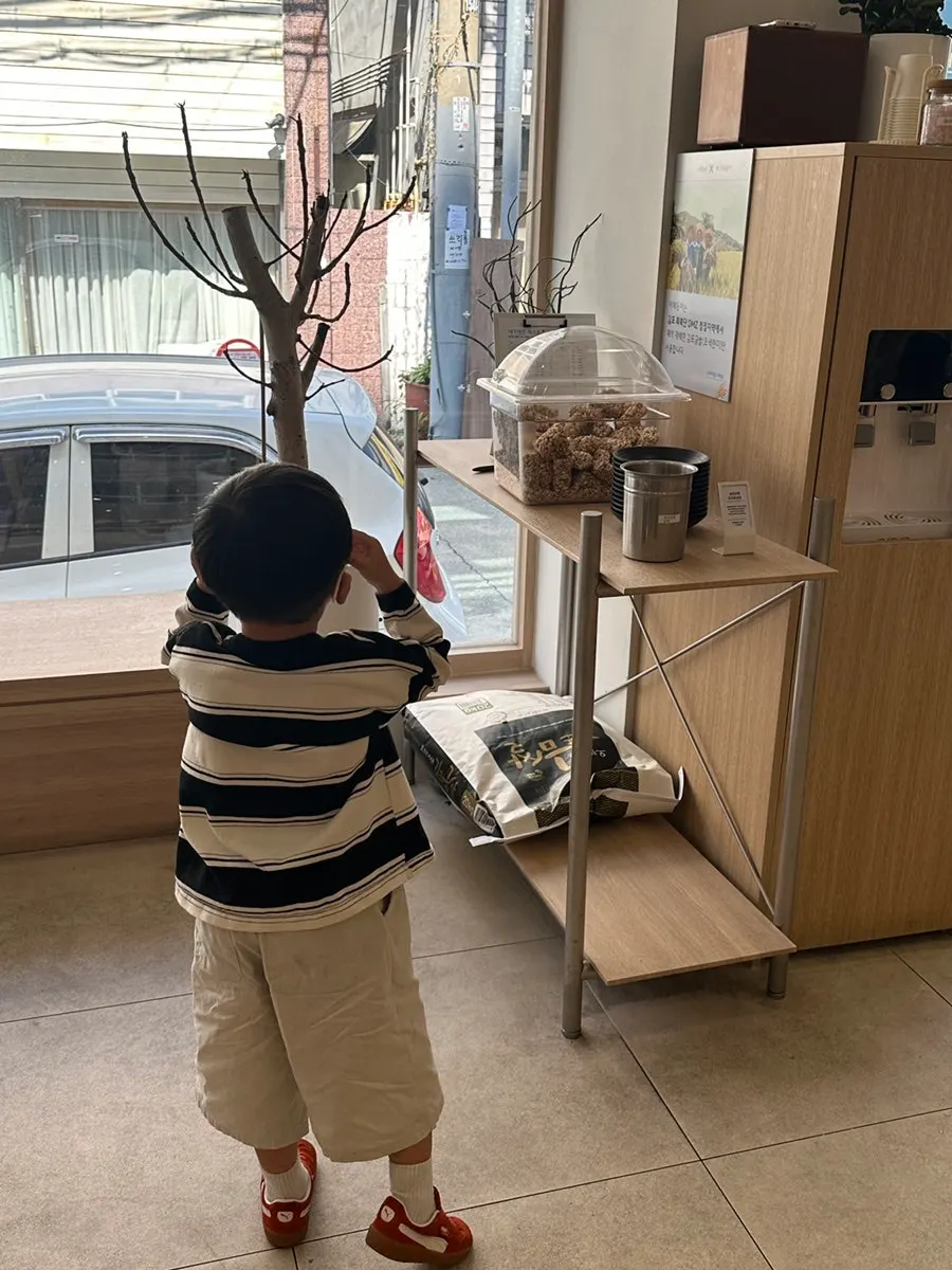 후식으로 준비된 보리강정