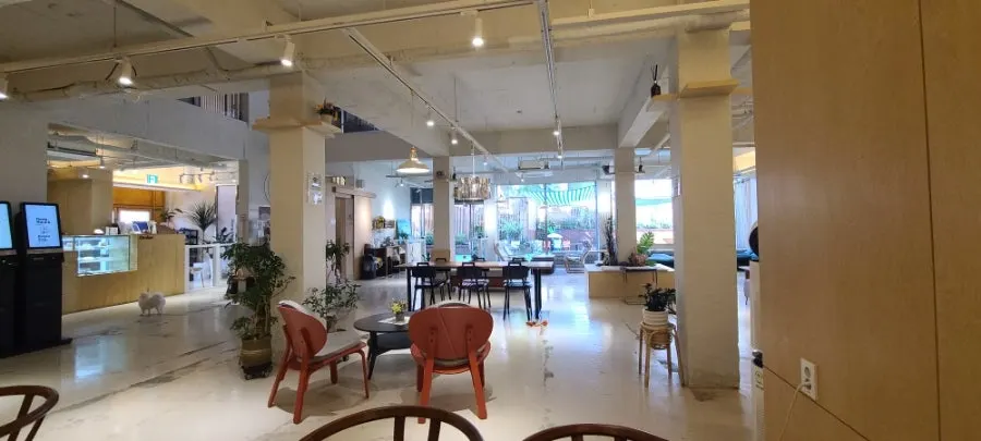 First-floor tables and hall area with dogs