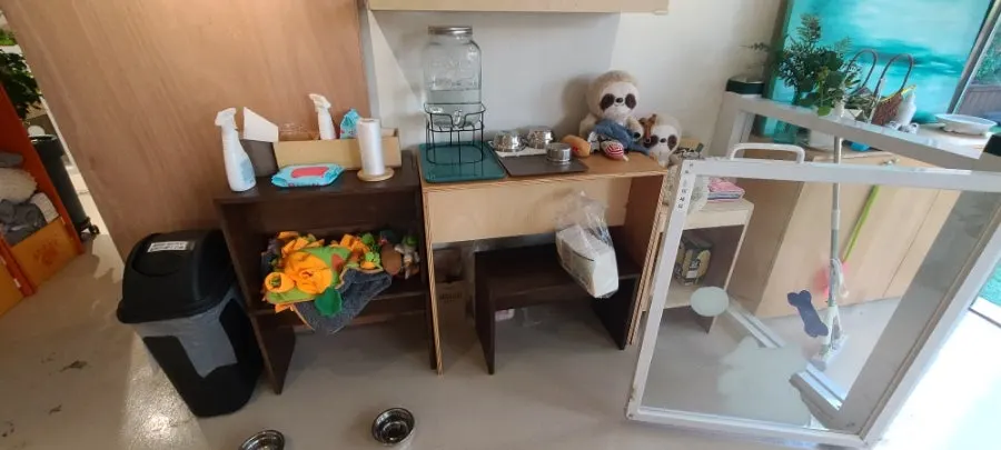 Dogs roaming freely on the first floor