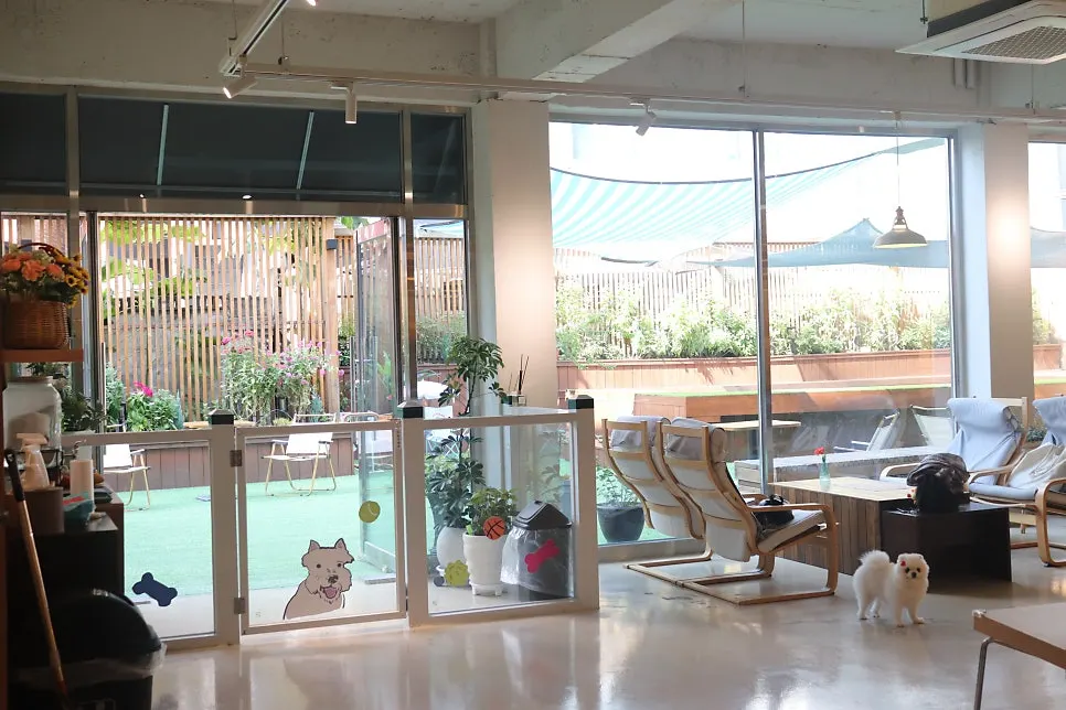 Spacious café seating area