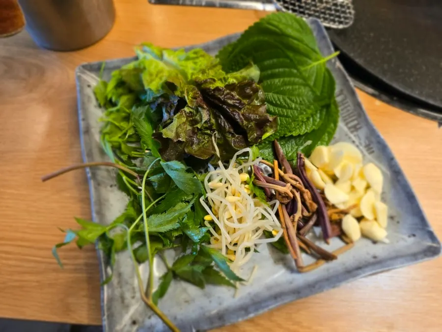 Plate of wrap vegetables gathered from the self-serve bar