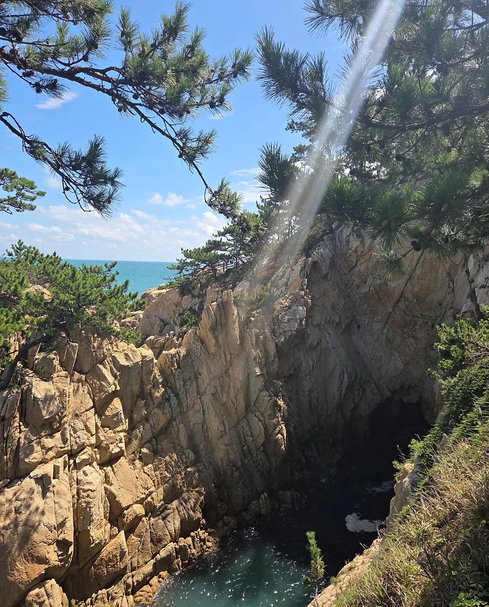일산해수욕장 가까운 울산 동구 거리 모습