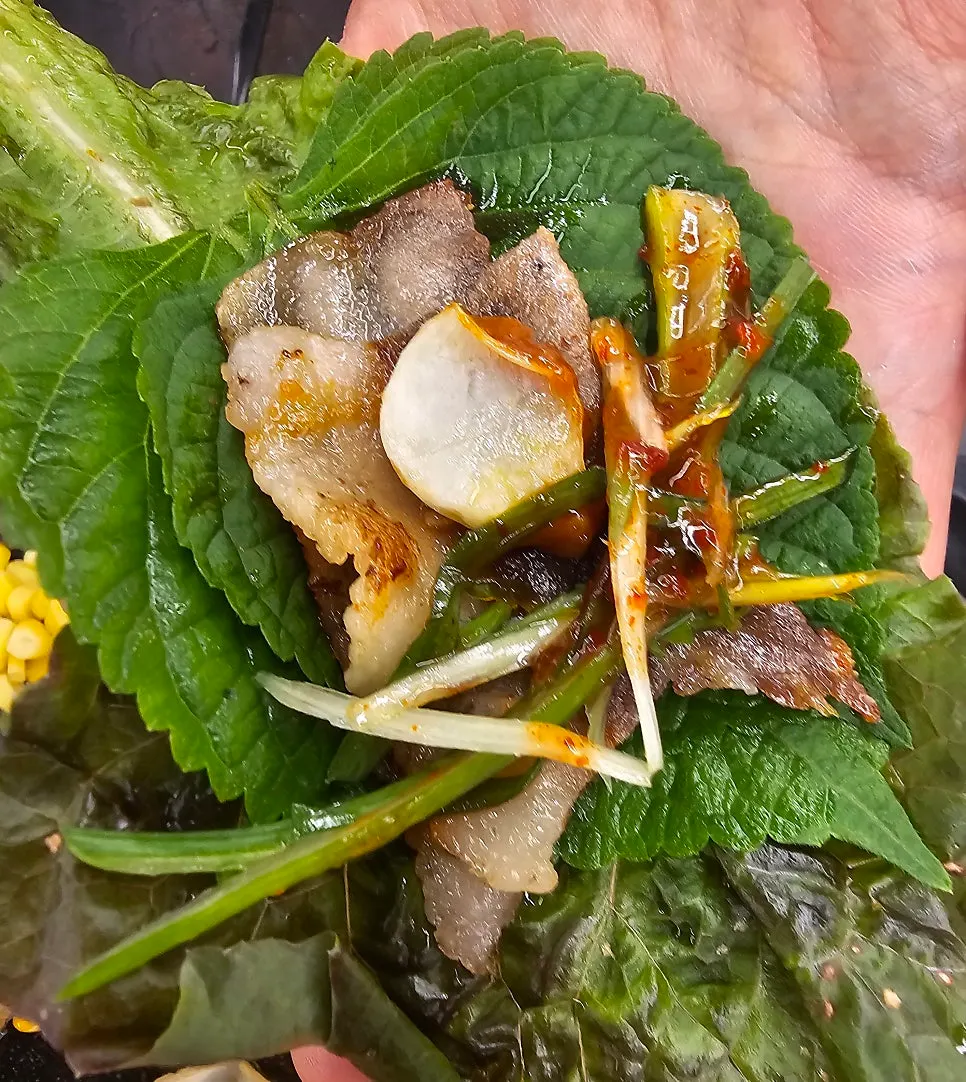 Chestnut-fed thin-cut pork belly grilled to a golden brown