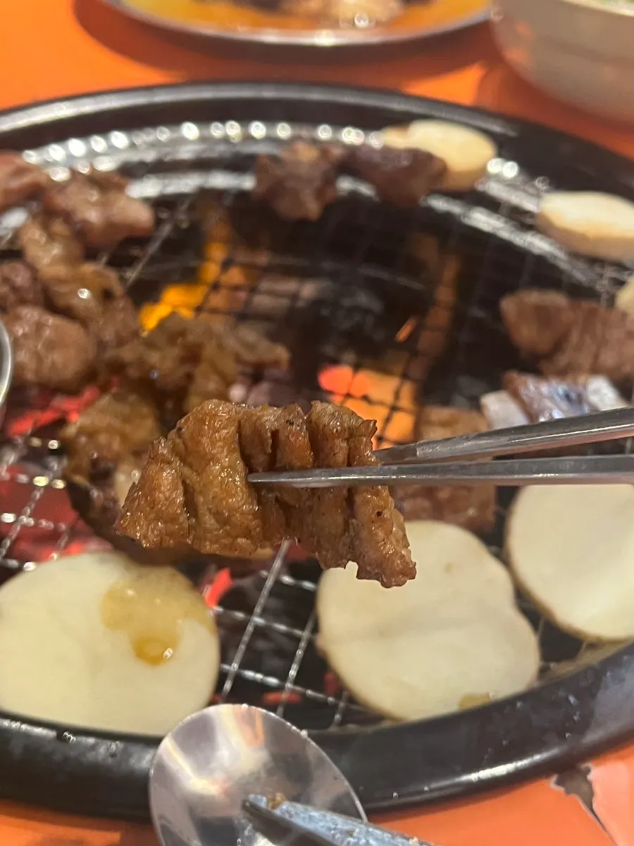 Nicely browned, grilled marinated pork ribs