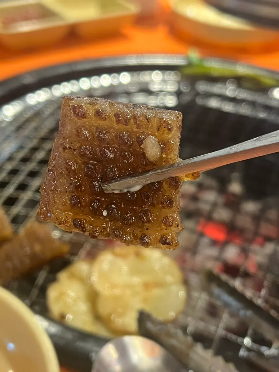 A serving of pork skin received through the review event