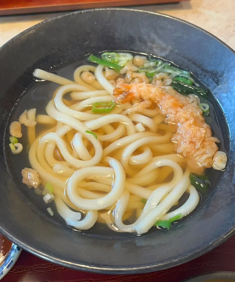 Generous portion of udon in the combo set