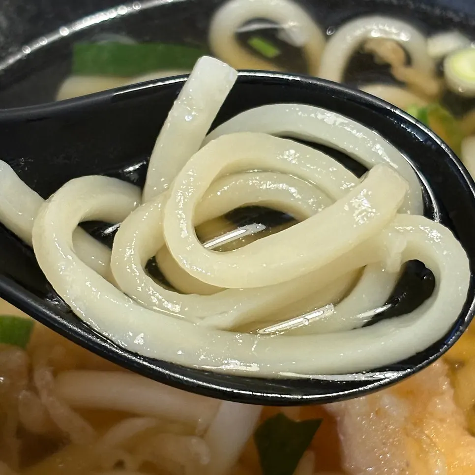 House-made udon noodles lifted up with chopsticks