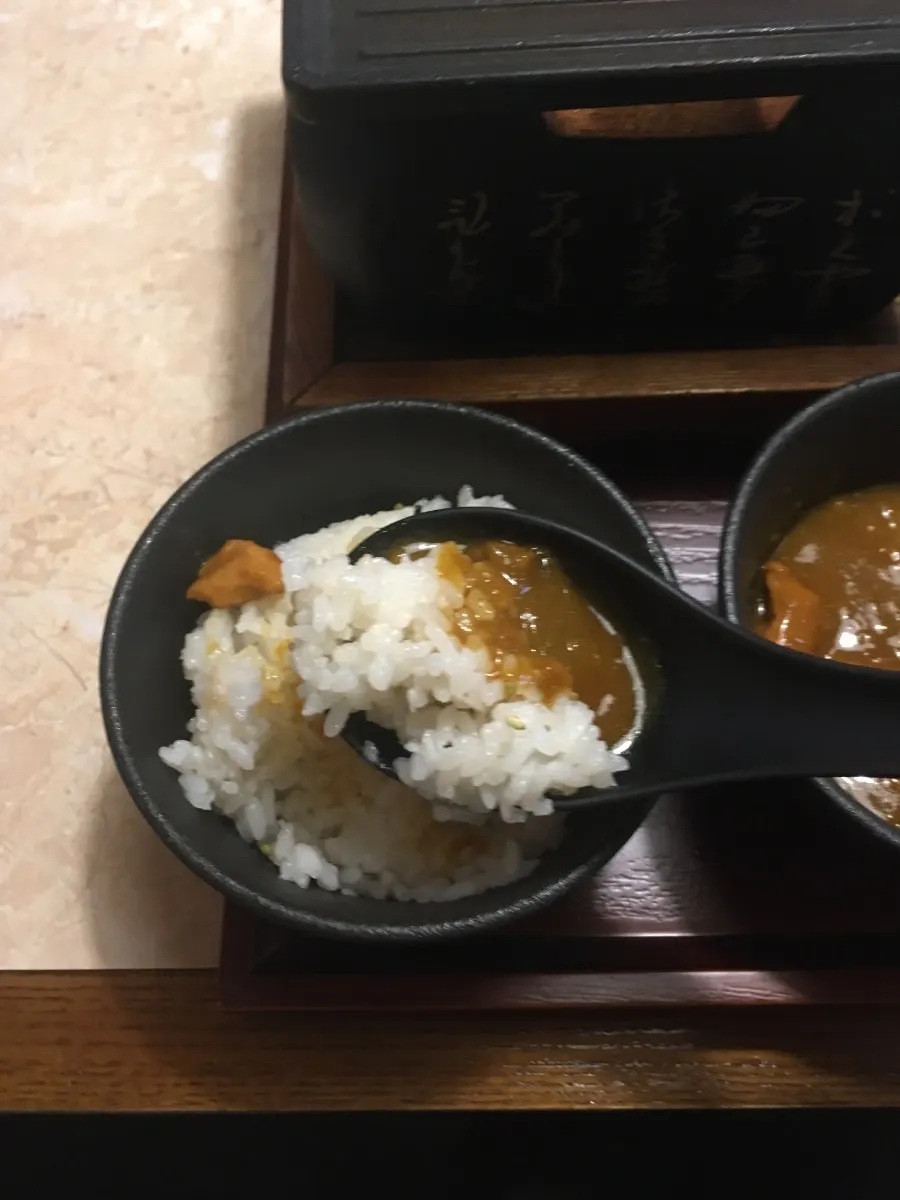카레와 고기를 함께 먹는 한 입