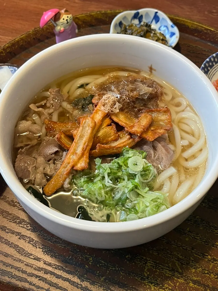 Beef udon topped with scallions, beef, and burdock