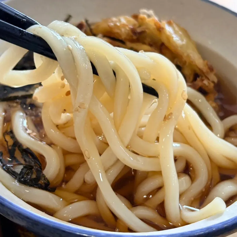 QQ弹弹面条的冷乌冬特写