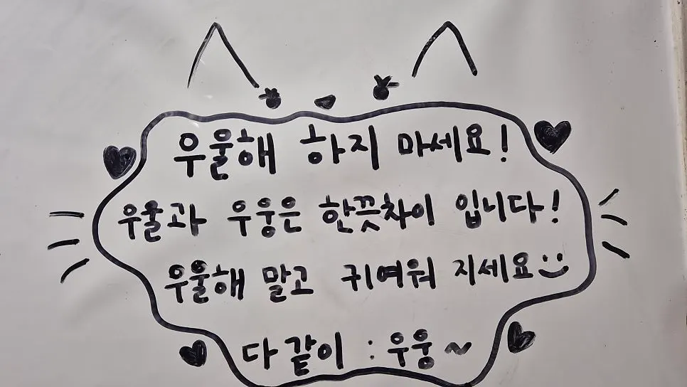 다이도코로의 귀여운 고양이 캐릭터 소품