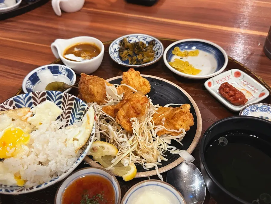 가라아게를 밥과 함께 올린 모습